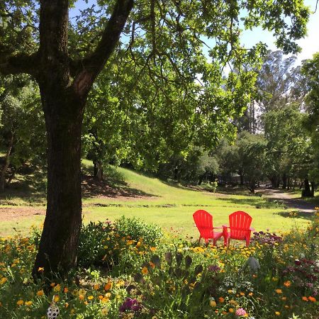 Amitabha Wine Country Cottage Santa Rosa Exterior foto