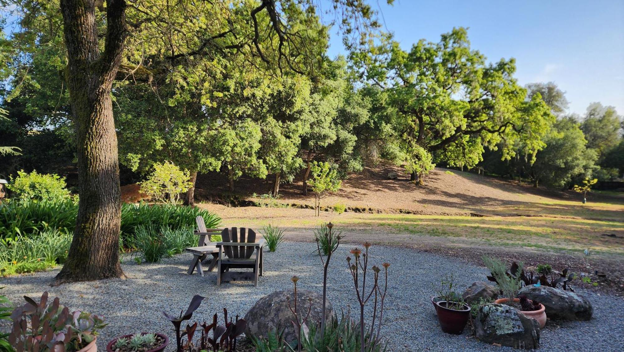 Amitabha Wine Country Cottage Santa Rosa Exterior foto