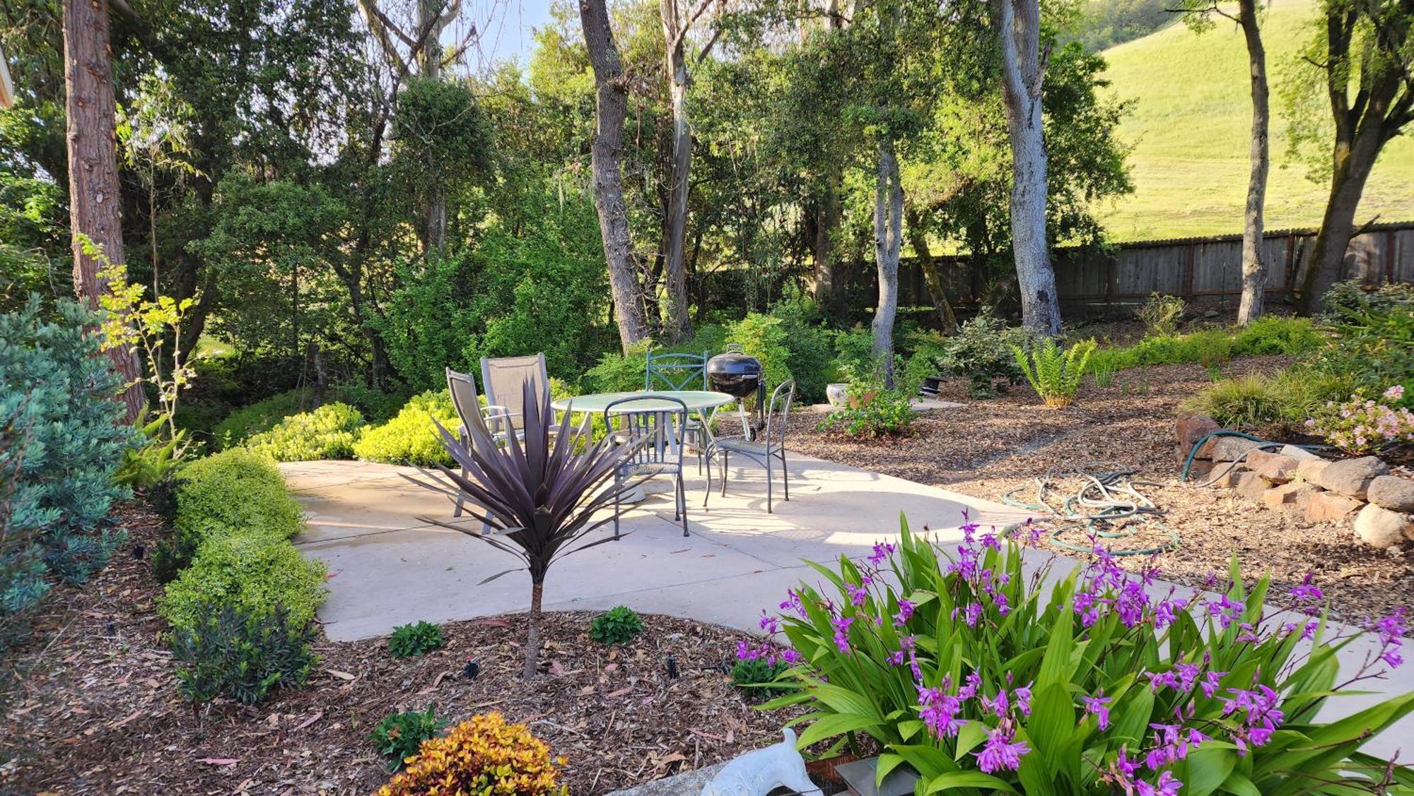 Amitabha Wine Country Cottage Santa Rosa Exterior foto