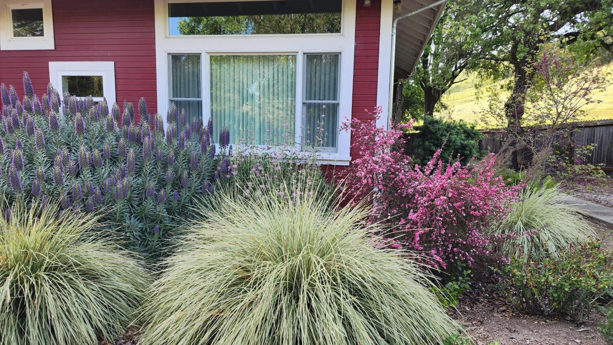 Amitabha Wine Country Cottage Santa Rosa Exterior foto