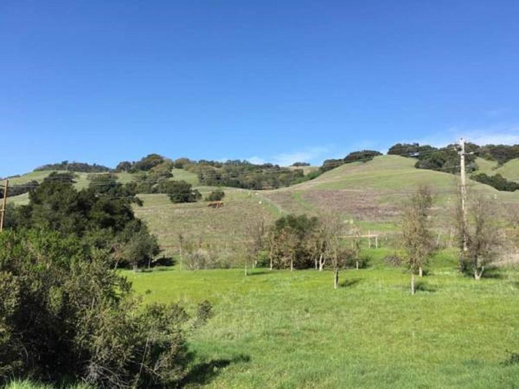Amitabha Wine Country Cottage Santa Rosa Exterior foto